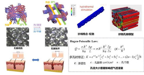 纺织之光 纺织技术发明一等奖 让衣服像皮肤一样 呼吸